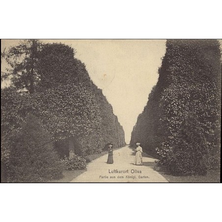 Luftkurort Oliva. Partie aus dem Königl. Garten