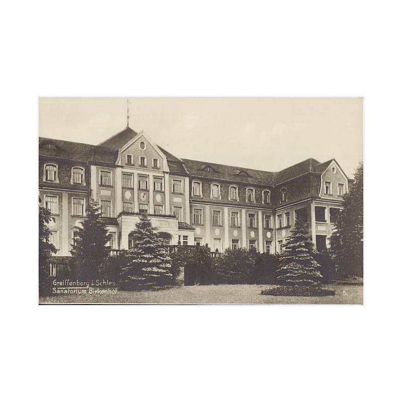 Greiffenberg i. Schles. Sanatorium Birkenhof. 5