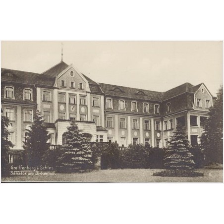 Greiffenberg i. Schles. Sanatorium Birkenhof. 5