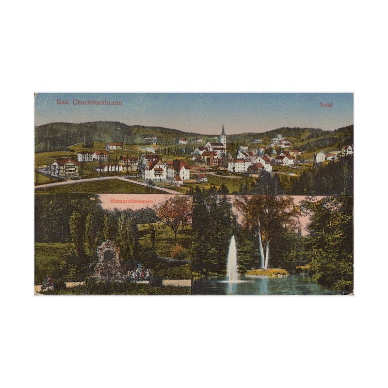 Bad Charlottenbrunn. Total. Bismarckbrunnen