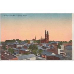 Piekary Śląskie. Ogólny widok