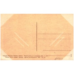 Tatry - Tátra. Čiastka pri Štrbskom plese. Részlet a czorbai-iónál. Partie beim Csorber-See