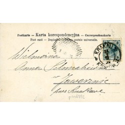 Widok z Zamku Krakowskiego na Wisłę