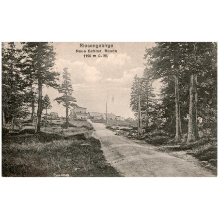 Riesengebirge. Neue Schles. Baude 1195 m ü. M.