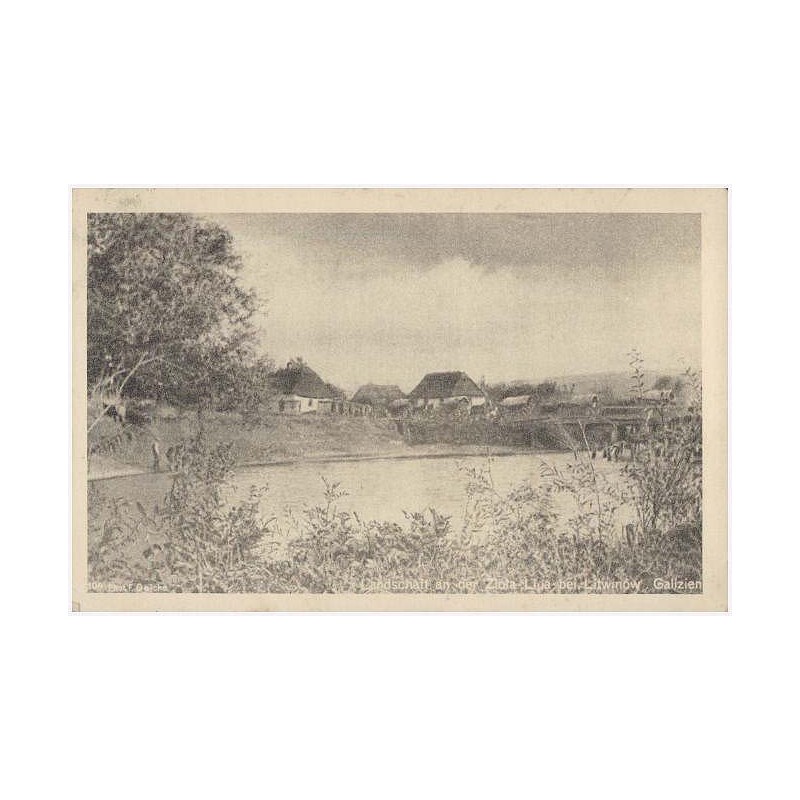 Landschaft an der Zlota Lipa bei Litwinow. Galizien. 104 Phot. F. Deicke