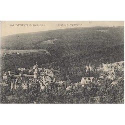 Bad Flinsberg im Isergebirge. Blick vom Waldfrieden