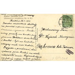 Ogród Botaniczny Uniwersytetu Jagiellońskiego w Krakowie. Kaktus "Królowa nocy" [...]  Fot. S. Ziobrowski