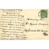 Ogród Botaniczny Uniwersytetu Jagiellońskiego w Krakowie. Kaktus "Królowa nocy" [...]  Fot. S. Ziobrowski