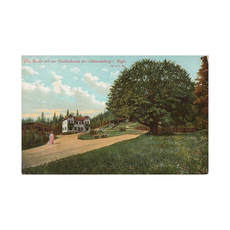 Die Baude mit der Buchenbaude bei Schmiedeberg i. Rsgb. 645 m ü. M. An die Buche ! [...]