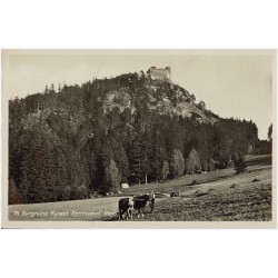 78. Burgruine Kynast Herrmsdorf Rsgb