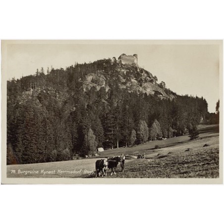78. Burgruine Kynast Herrmsdorf Rsgb
