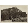 78. Burgruine Kynast Herrmsdorf Rsgb