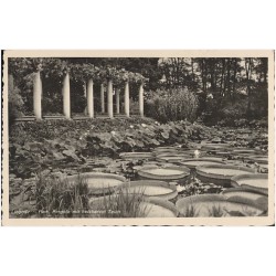 Liegnitz - Park, Pergola mit heizbarem Teich