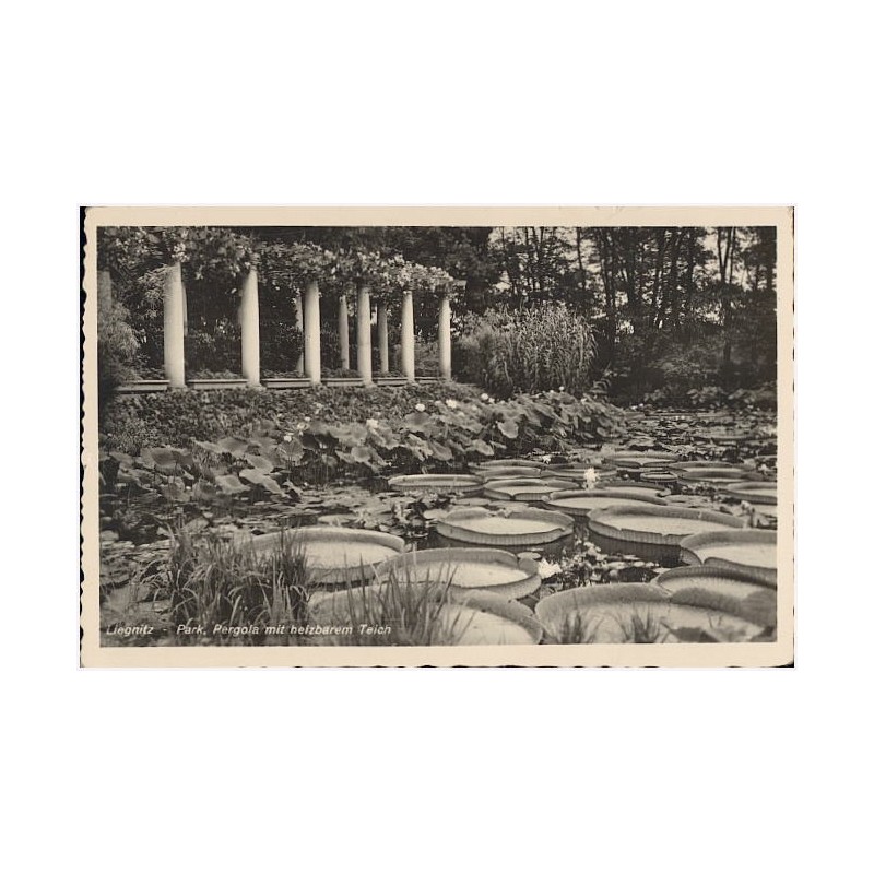 Liegnitz - Park, Pergola mit heizbarem Teich
