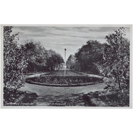 Ostseebad Dievenow. Rosenbeet im Kurpark