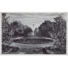 Ostseebad Dievenow. Rosenbeet im Kurpark