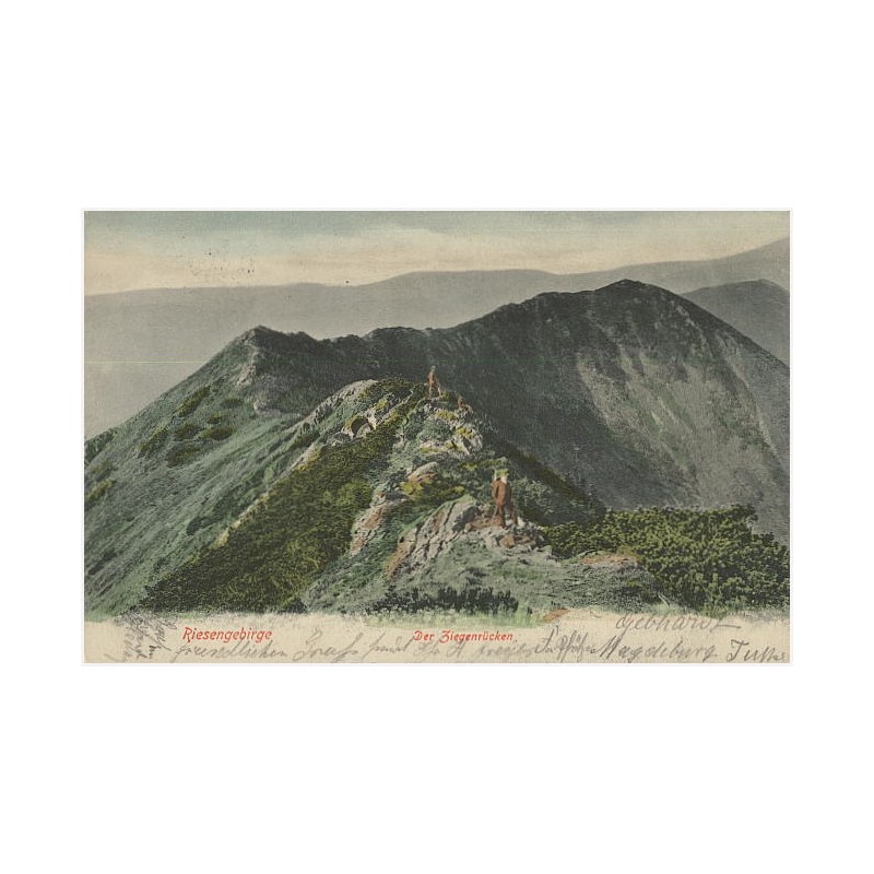 Riesengebirge. Der Ziegenrücken