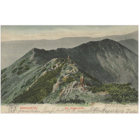 Riesengebirge. Der Ziegenrücken