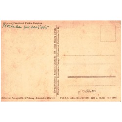 Gliwice. Fragment Parku Chopina. Zdjęcia: Fotografik S. Polony-Poloński, Gliwice