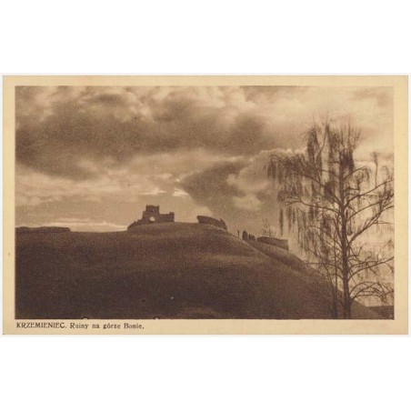 Krzemieniec. Ruiny na górze Bonie