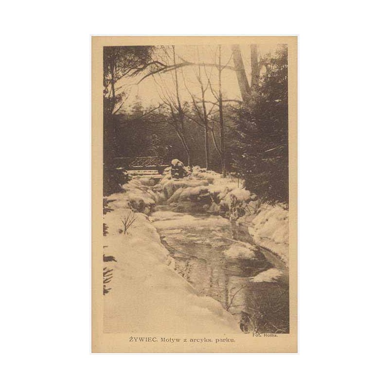 Żywiec. Motyw z arcyks. parku