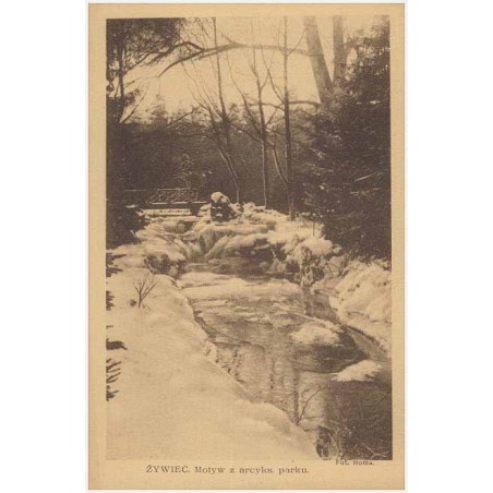 Żywiec. Motyw z arcyks. parku