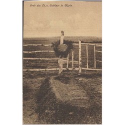 Grab des Lt. v. Peithner in Myrin