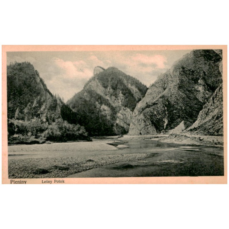 Pieniny. Leśny Potok