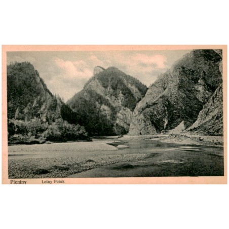 Pieniny. Leśny Potok