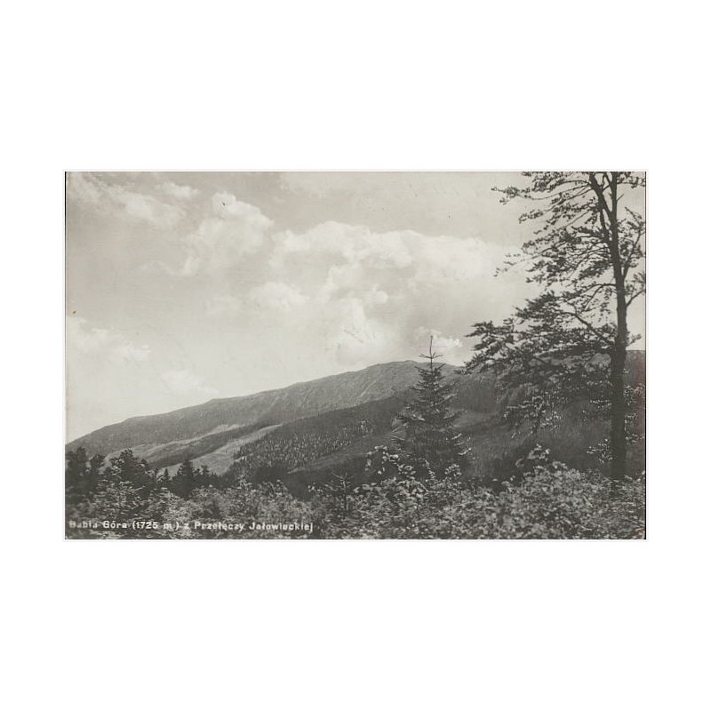 Babia Góra (1725 m) z Przełęczy Jałowieckiej. Fot. T. Zamojski