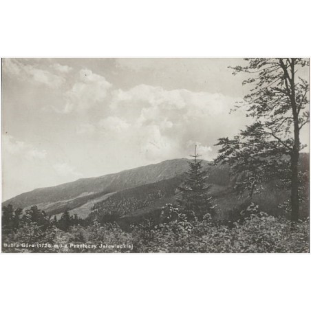 Babia Góra (1725 m) z Przełęczy Jałowieckiej. Fot. T. Zamojski