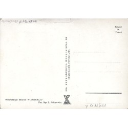 Wodospad Prutu w Jaremczu. Fot. Mgr S. Kokurewicz