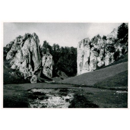 Bolechowice pod Krakowem. Brama skalna [...] Fot. Otton Swoboda