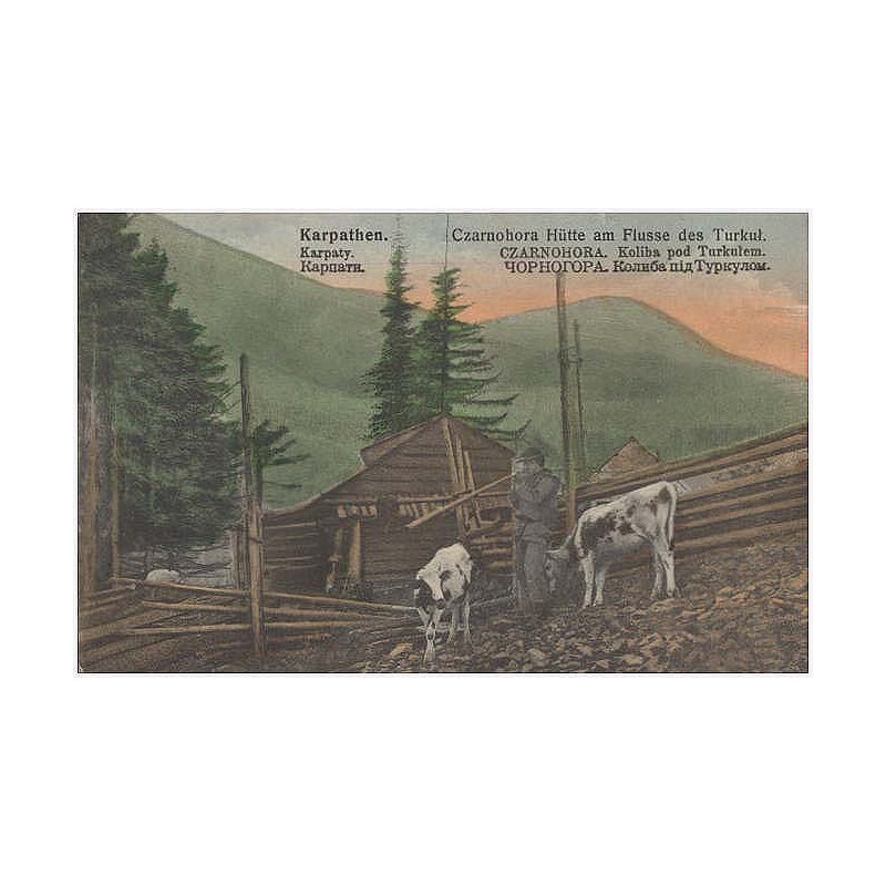 Karpathen. Czarnohora. Hütte am Flussa des Turkuł. Karpaty. Czarnohora. Koliba pod Turkułem. Kapпaи. Чopнoгopa. Koлибa пiд Typкy