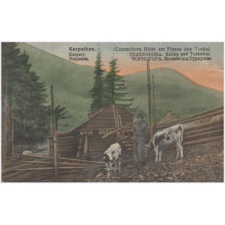 Karpathen. Czarnohora. Hütte am Flussa des Turkuł. Karpaty. Czarnohora. Koliba pod Turkułem. Kapпaи. Чopнoгopa. Koлибa пiд Typкy