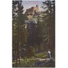Riesengebirge. Der Kynast vom Höllengrunde
