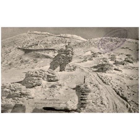 Riesengebirge. Winterbild an der Schneekoppe