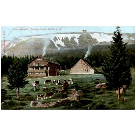 Riesengebirge. Schlingelbaude 1067 m ü. M.
