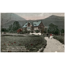 Wolfshau i. Riesengebirge. Liebig's Hotel z. Melzergrund. Blick nach d. Schneekoppe u. Eulengrund.