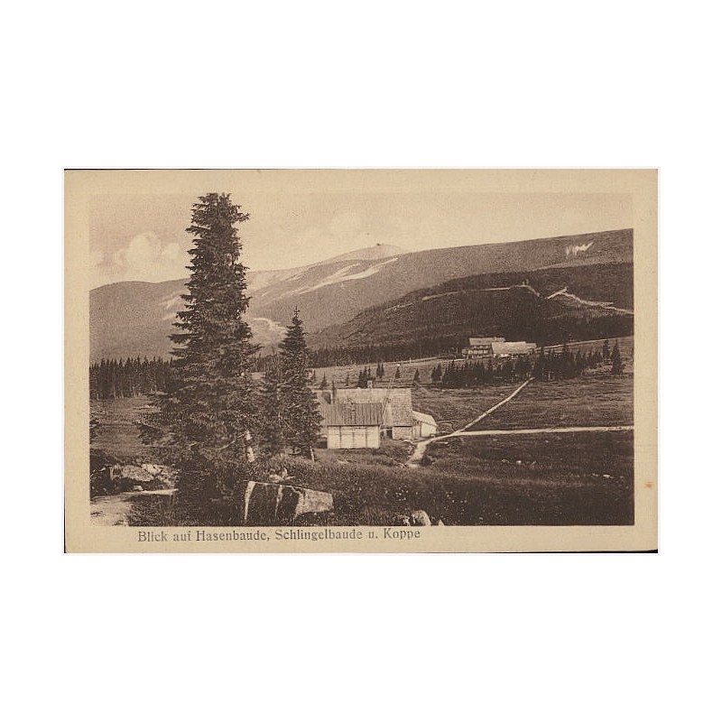 Blick auf Hasenbaude, Schlingelbaude u. Koppe