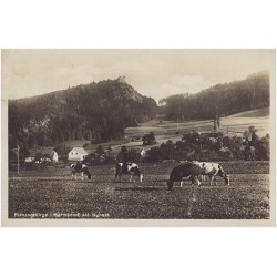Riesengebirge. Hermsdorf unt. Kynast