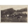 Riesengebirge. Hermsdorf unt. Kynast