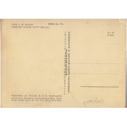 Rewers: Proj. J. M. Brzeski Ogólny widok huty żelaza