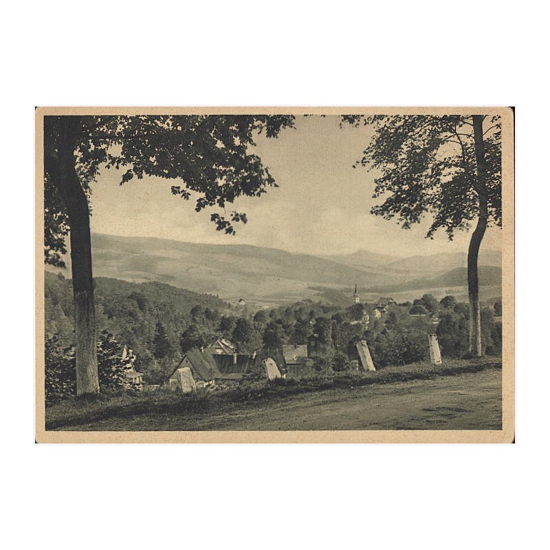 2. Blick auf Bad Charlottenbrunn i Schl. von der Fahrstraße aus