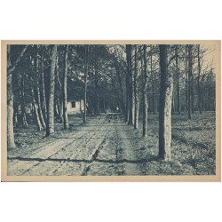 Rewers: 10. Waldweg am Forsthaus Stampnitza, Kr. Cosel. Phot. A. Berndt