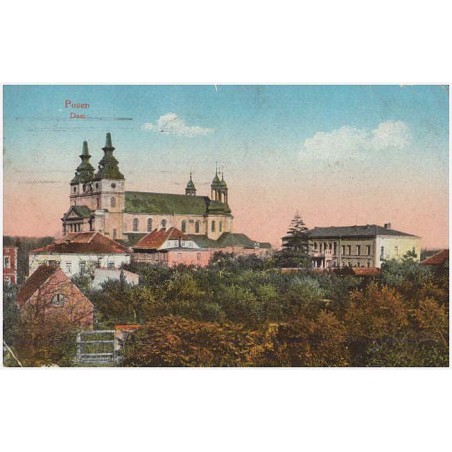 Posen. Dom