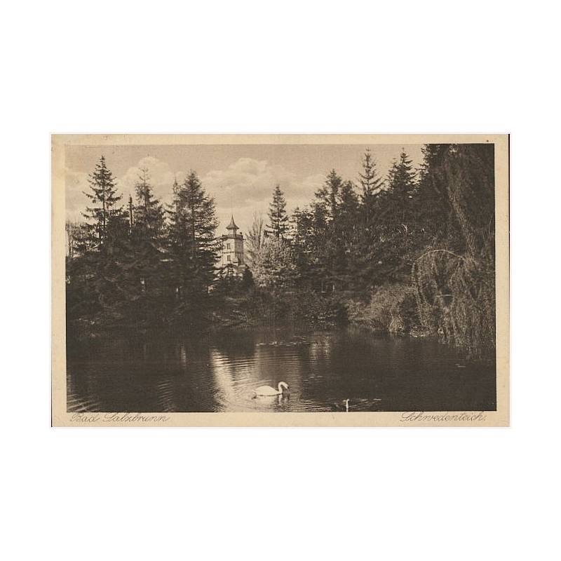 Bad Salzbrunn. Schwedenteich