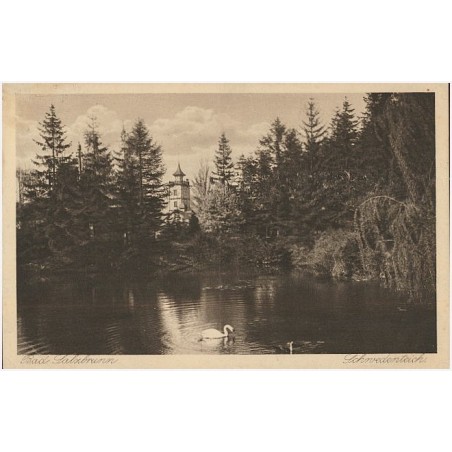 Bad Salzbrunn. Schwedenteich