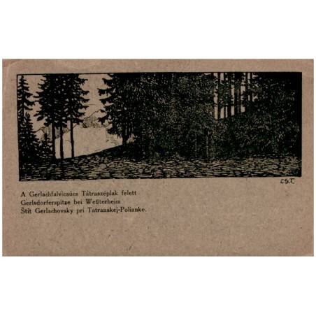 A Gerlachfalvicsúcs Tátraszéptak felett. Gerlsdorfspitze beim Weßterheim. Štít Gerlachovsky pri Tatranskej-Polianke. / Rewers: M