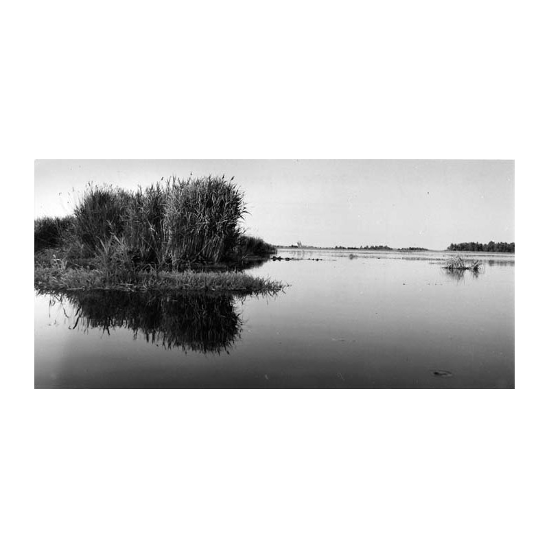 "Jez. Wigry - fragment przy wejściu Cz. Hańczy 262"